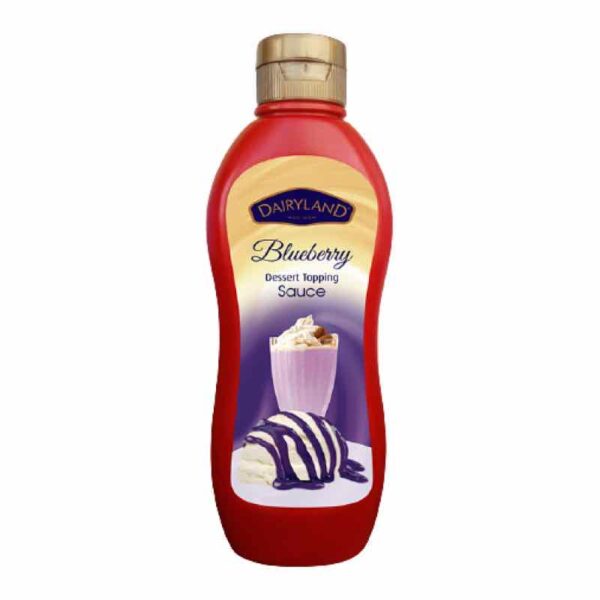 Dairyland BlueBerry Dessert Topping Sauce