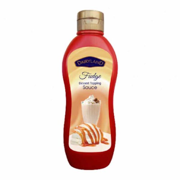 Dairyland Fudge Dessert Topping Sauce
