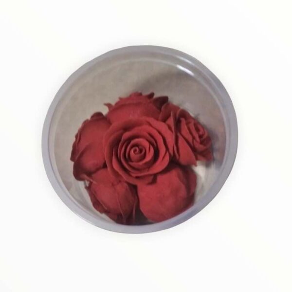 Edible Roses 6 Piece Set Red