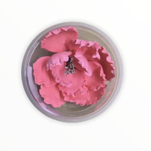 Peony Flower Pink