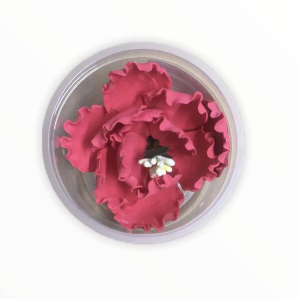 Peony Flower Red