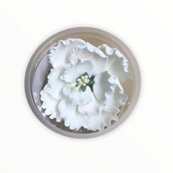 Peony Flower White