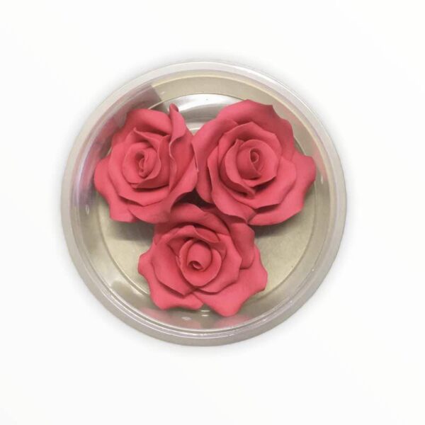 Rose Flowers Red