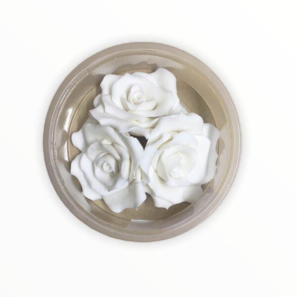 Rose Flowers White