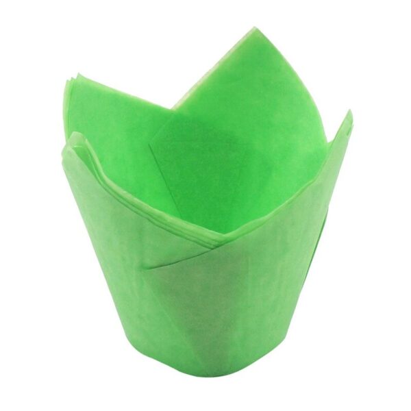 Tulip Cases Green