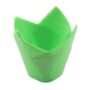 Tulip Cases Green