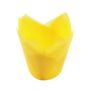 Tulip Cases Yellow